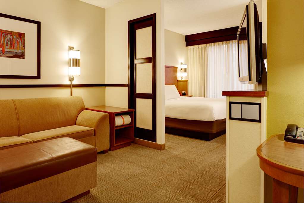 Hyatt Place Detroit/Utica Rum bild